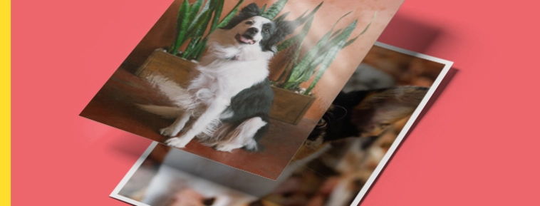 Klassisk fotoframkallning